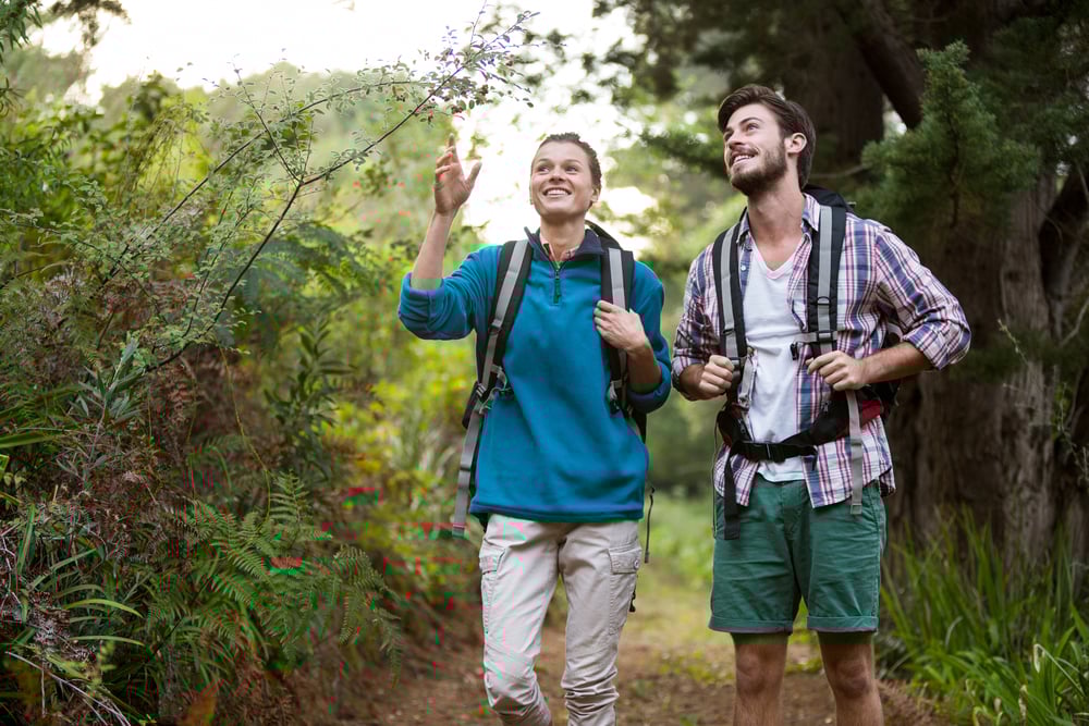 Couple hiking through a forest in the countryside