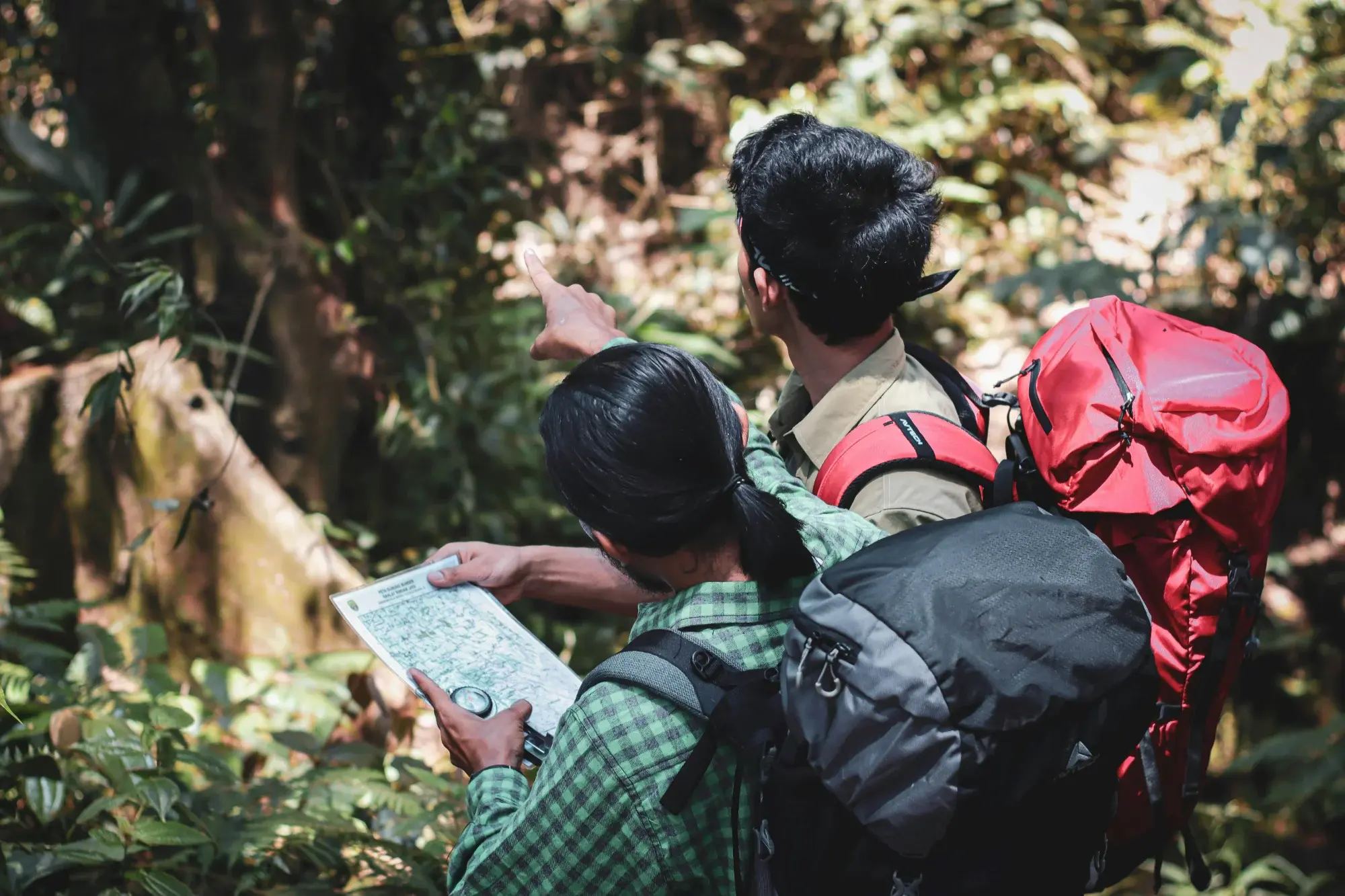 hikers-map-red-backpack-forest hikers-map-red-backpack-forest